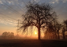 Mid winter sunrise near Benthall