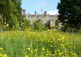 Buttercups and Benthall Hall